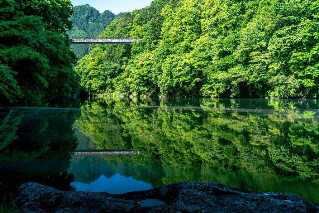 Beautiful Jungle waterfall in a tropical forest with rock and blue freshwater small river. Summer season new leaves. Natural landscape background. Unique photos Its name is Nishizawa Japan