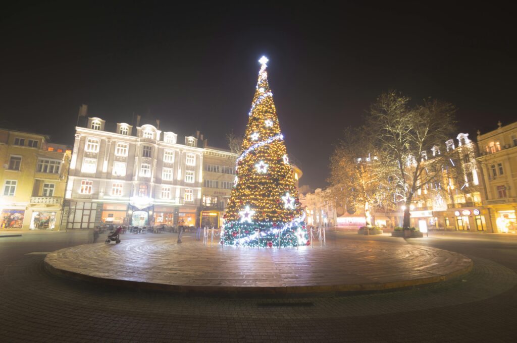 Lighted Chirstmas Tree during Night Time